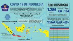 Situasi Virus Corona (Covid-19) secara Nasional, Ahad, 29 Maret 2020