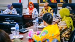 Anggota DPD RI Provinsi DKI Jakarta Sylviana Murni saat menerima Pengurus Pusat Perhimpunan Ahli Epidemiologi Indonesia (PAEI) di Nusantara III Komplek Parlemen, Jakarta, Kamis (12/3/2020)
