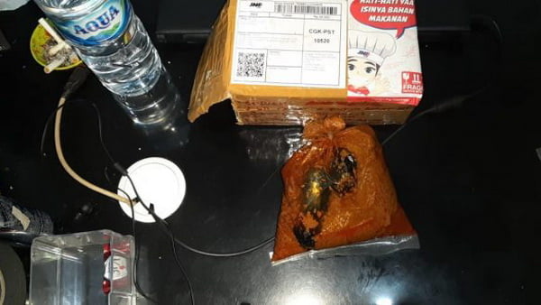 Paket sabu disendupkan dalam rendang kemudian dikirim melalui jasa pengiriman barang