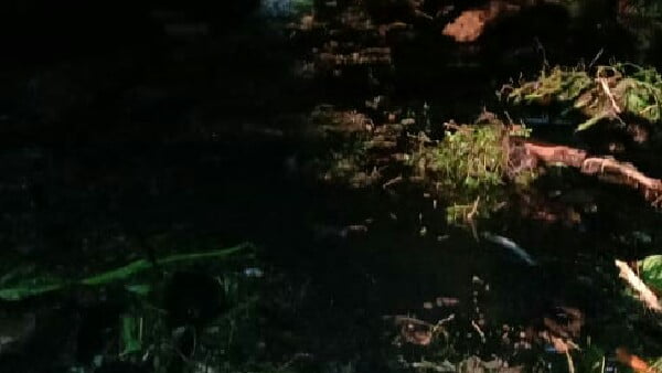 Materil longsor yang menimbun 2 rumah di Tanah Datar