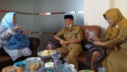 Direktur Kesiapsiagaan Badan Nasional Penanggulangan Bencana (BNPB) Dra. Eny Supartini, M.M ketika bersilaturahmi dengan jajaran Badan Penanggulangan Bencana Daerah (BPBD) Solok Selatan di Padang Aro, Senin 3 Agustus 2020