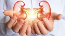 Ginjal (foto sehatq)