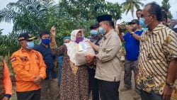 Berita Terkini - Nasrul Abit