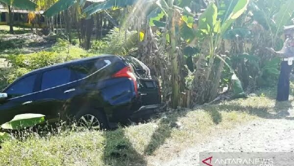 Mobil Dinas Wakil Bupati Agam alami kecelakaaan dan nyelonong ke kebun pisang warga
