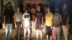 Satreskrim Polres Dharmasraya amankan pelaku ilegal loging