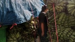 Penumpang kapal antar pulau berdesakan dengan barang