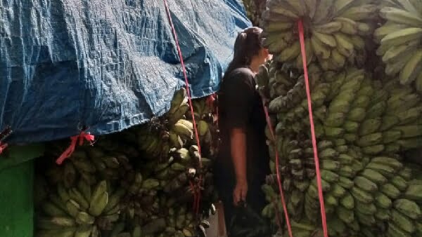 Penumpang kapal antar pulau berdesakan dengan barang