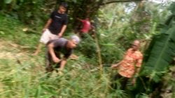 Berita Terkini - Nurnas