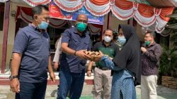 Berita Terkini - Supardi