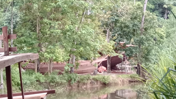 Tumpukan kayu tak bertuan di Mandeh