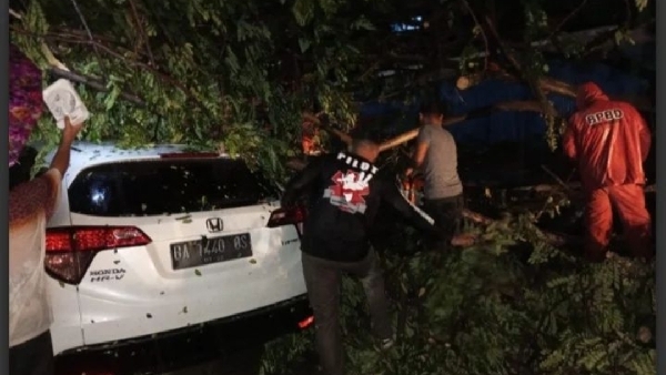 MobilTertimpapohontumbang Mobil Tertimpa pohon tumbang