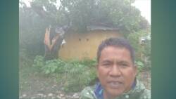 Pohon tumbang yang menimpa rumah warga di Banuaran