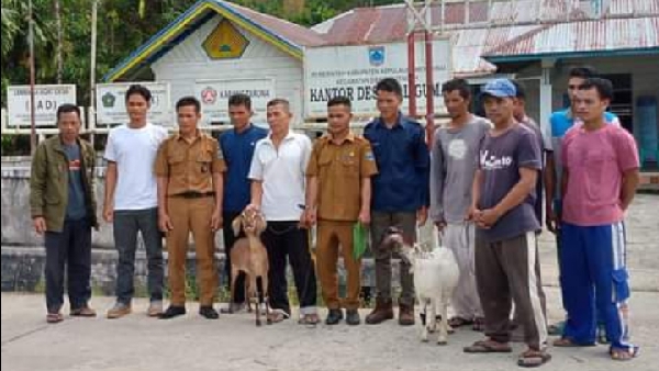 Pemerintah Desa Saliguma kecamatan Siberut Tengah Salurkan bantuan berupa bibit kambing