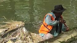 Salah seorang petugas kebersihan yang langsung membuang potongan rumput ke aliran Batang Jirak di Kelurahan Pampangan Nan XX, Senin (24/7/2023) sore.