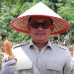 Ketua Sementara DPRD Sumbar Evi Yandri Rajo Budiman saat menghadiri, Panen Raya Jagung Serentak